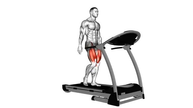 Walking on Treadmill exercise demonstration