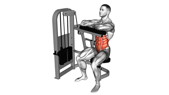 Lever Seated Crunch (hands pad) exercise demonstration