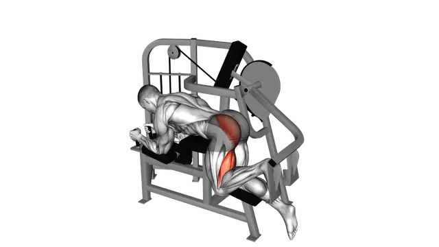 Lever Hip Extension exercise demonstration