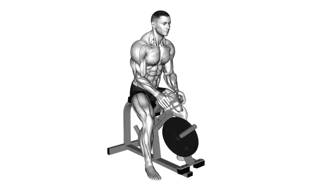 Lever Gripper Hands (plate loaded) exercise demonstration