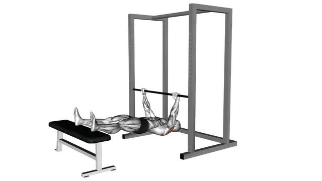 Inverted Row on Bench exercise demonstration