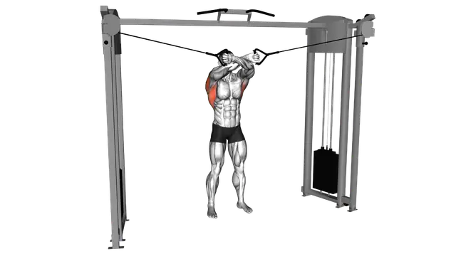 Cable Lat Pulldown Full Range Of Motion exercise demonstration