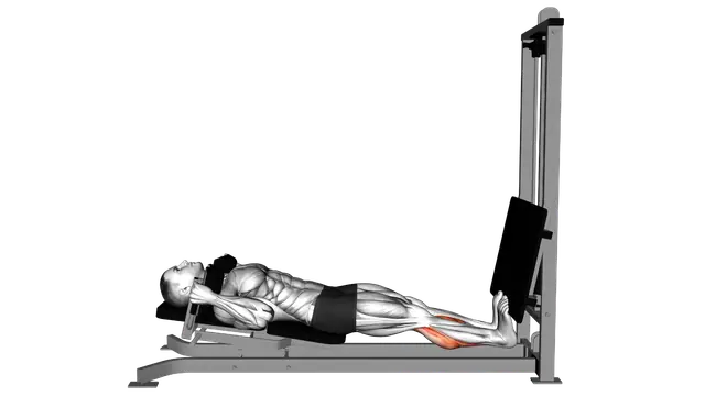 Sled Lying Calf Press exercise demonstration