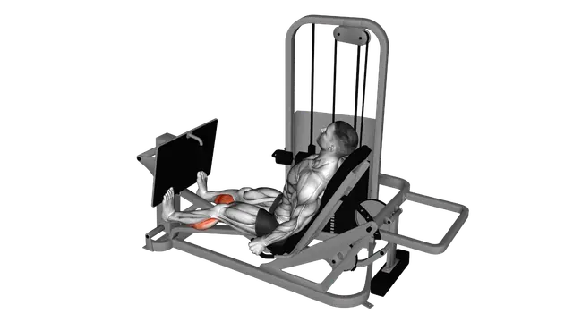 Lever Seated Calf Press exercise demonstration