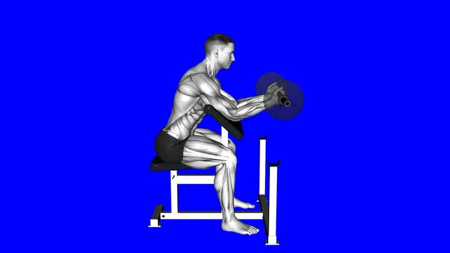 Preacher Curl Wrists (WRONG RIGHT) exercise demonstration