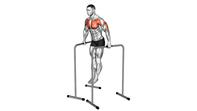 Wide Grip Chest Dip on High Parallel Bars exercise demonstration