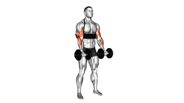 Dumbbell Biceps Curl (with arm blaster) exercise demonstration