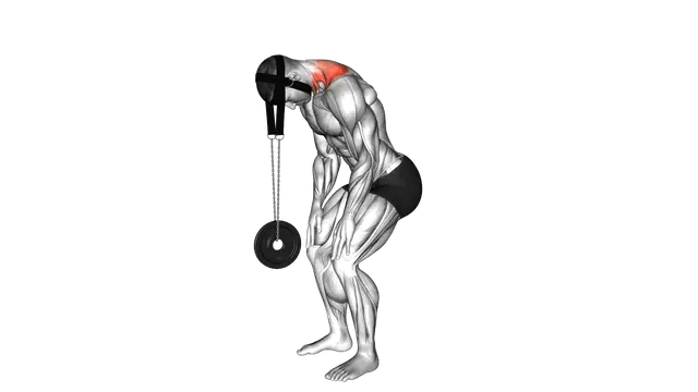 Weighted Standing Neck Extension (with head harnes exercise demonstration