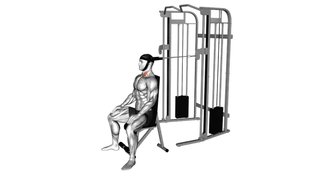 Cable Seated Neck Flexion (with head harness) exercise demonstration