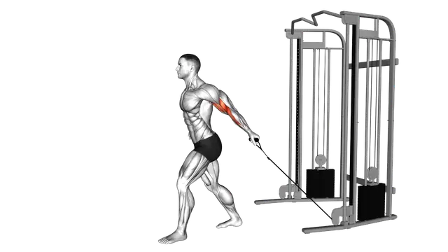 Cable One Arm Biceps Curl exercise demonstration