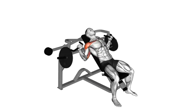 Lever Incline Chest Press (plate loaded) exercise demonstration