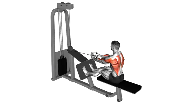 Cable Seated Row with V bar exercise demonstration