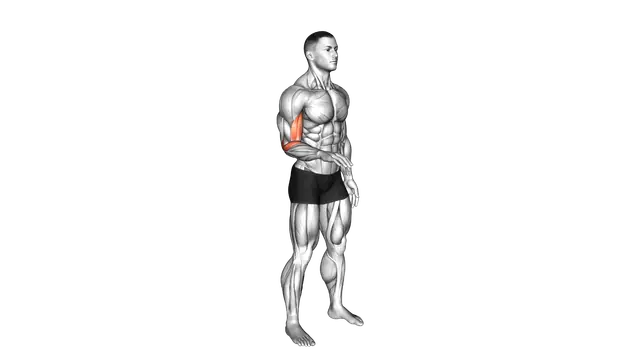 Forearm Supination exercise demonstration