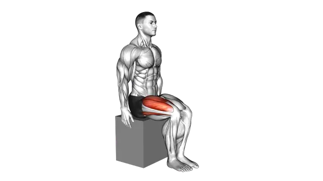 Knee Articulations Extension exercise demonstration