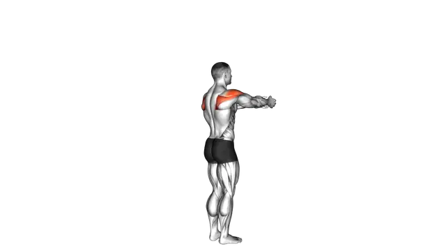 Shoulder Transverse Abduction exercise demonstration