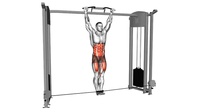 Cable Hanging Leg Raise exercise demonstration
