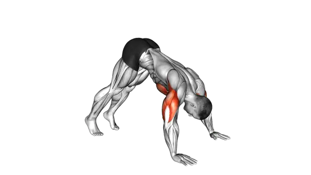 Pike Push up exercise demonstration