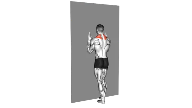Forearm Wall Slide exercise demonstration