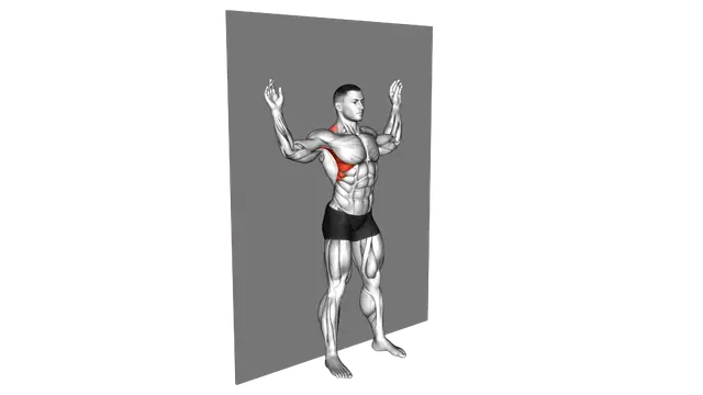 Scapular Slide Back to Wall exercise demonstration