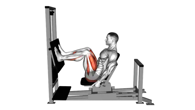 Lever Horizontal Leg Press exercise demonstration