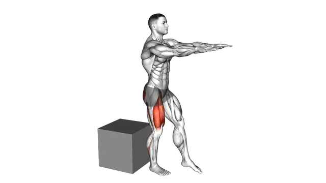 Pistol Squat to Box exercise demonstration
