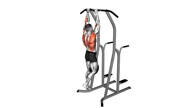 Weighted Hammer Grip Pull up on Dip Cage exercise demonstration