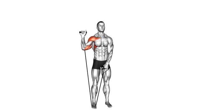 Band Single Arm Shoulder Press exercise demonstration