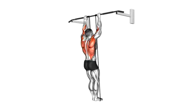 Band Assisted Pull Up exercise demonstration