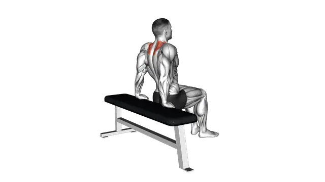 Scapula Dips exercise demonstration