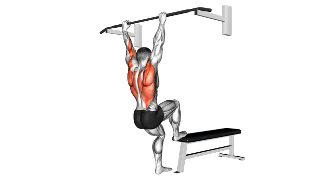 Bench Pull ups exercise demonstration