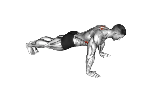 Scapula Push Up exercise demonstration