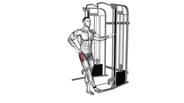 Cable hip abduction exercise demonstration