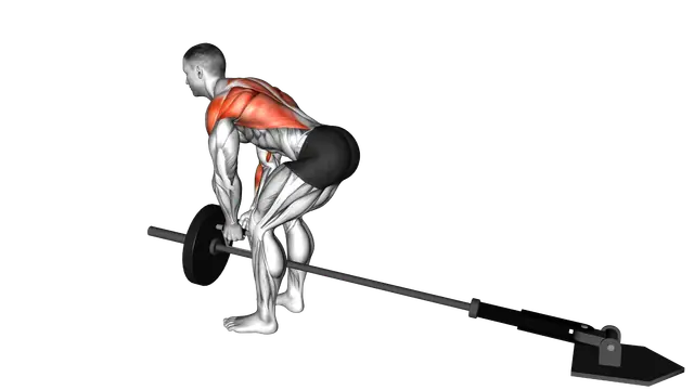 Lever Bent over Row with V bar (plate loaded) exercise demonstration