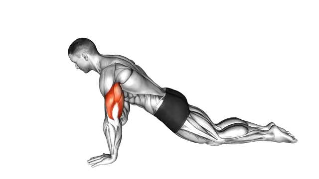 Kneeling Push up exercise demonstration