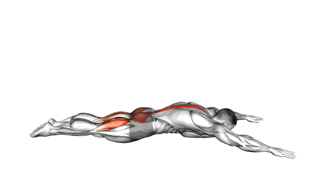 Lying Back Extension exercise demonstration