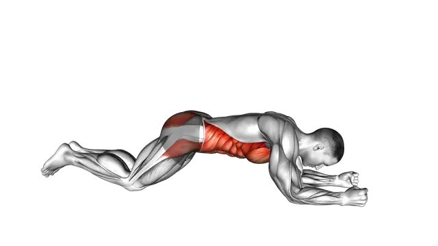 Kneeling plank exercise demonstration