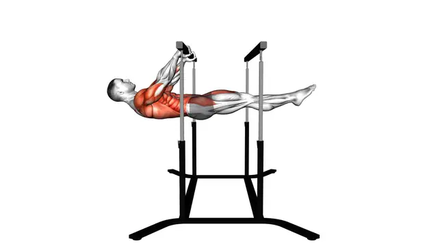 Front Lever Reps exercise demonstration
