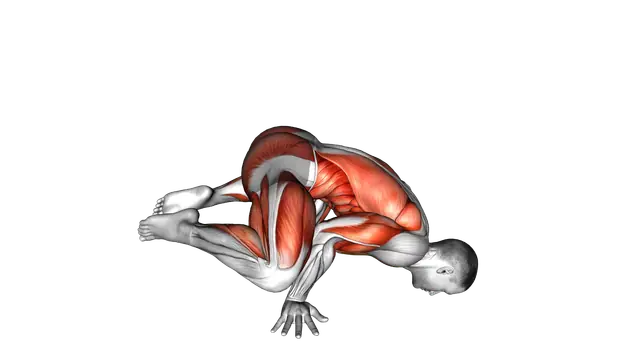 Frog planche exercise demonstration
