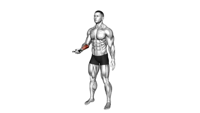 Hand Spring Wrist Curl exercise demonstration