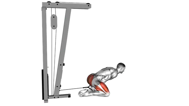 Cable Kneeling Pull Through exercise demonstration