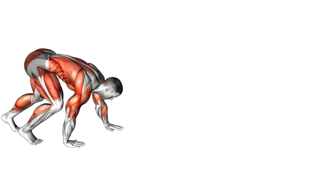 Bear Crawl exercise demonstration
