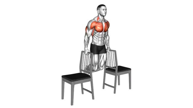 Dips between Chairs exercise demonstration