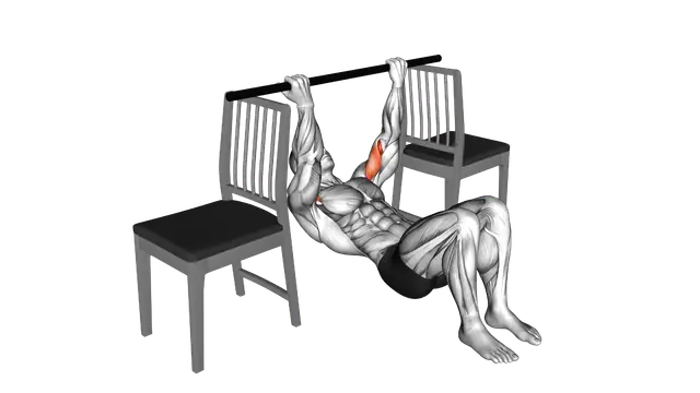 Inverted Chin Curl with Bent Knee between Chairs exercise demonstration