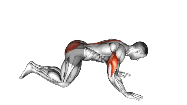 Kneeling Cobra Push up exercise demonstration