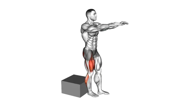 Single Leg Low Box Squat exercise demonstration