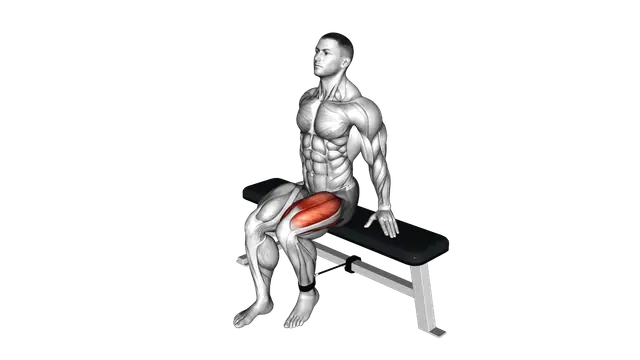 Band Seated Leg Extension exercise demonstration