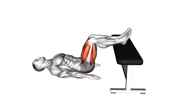 Glute Bridge Two Legs on Bench exercise demonstration