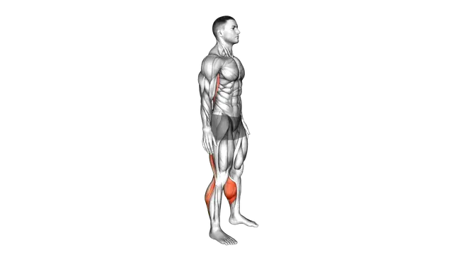 Standing Hamstrings and Back Stretch exercise demonstration