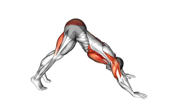 Pike to Cobra Push up exercise demonstration