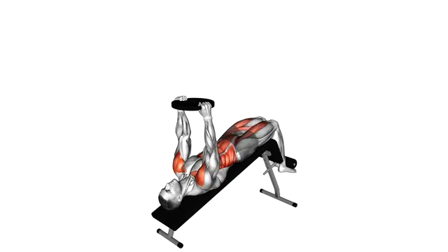 Weighted Decline Sit up exercise demonstration